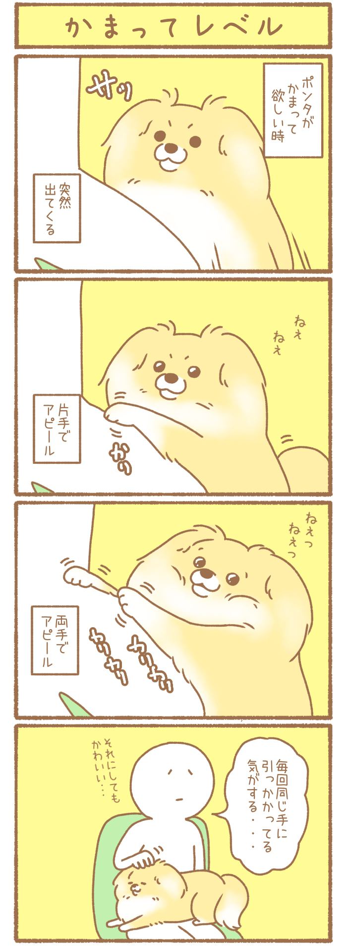 ただの犬好きです。【第199話】