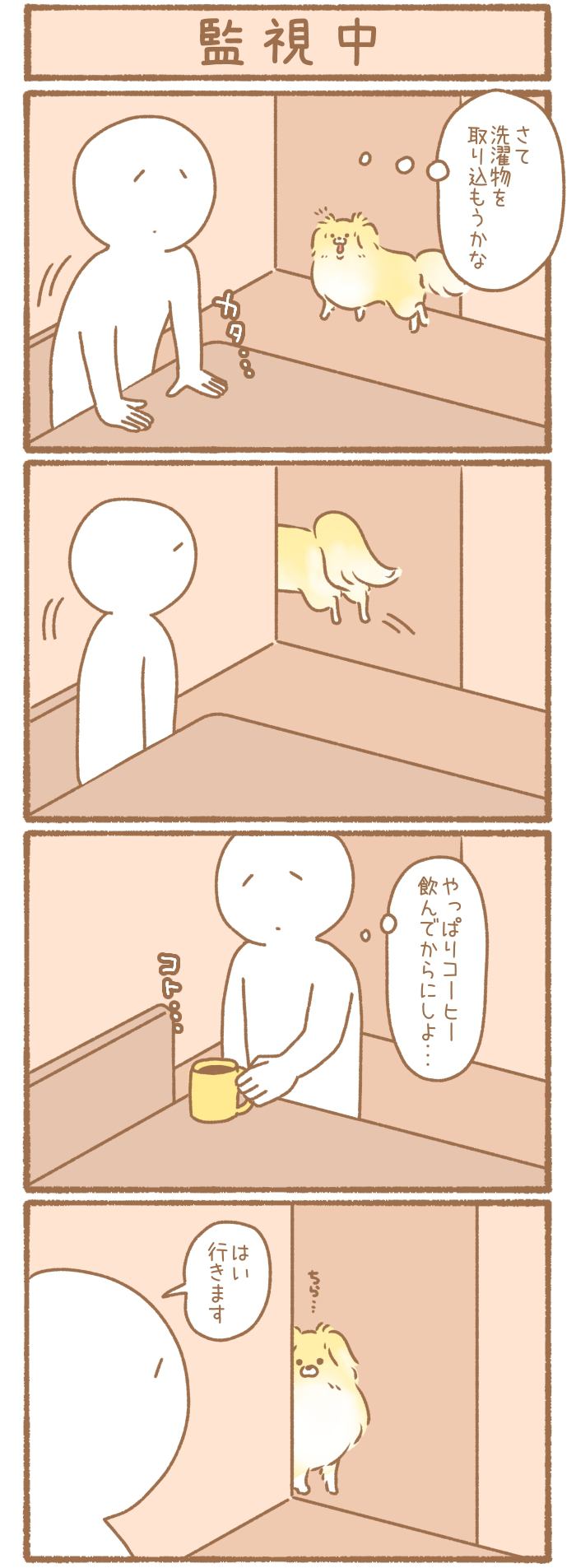 ただの犬好きです。【第239話】