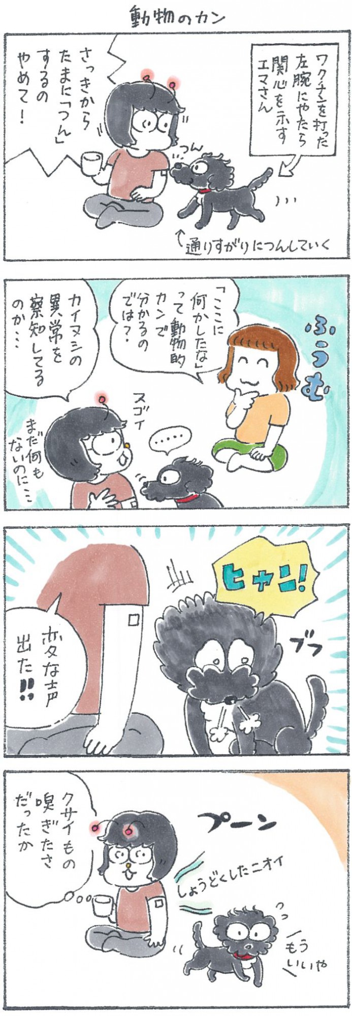 犬と暮らせば【第290話】