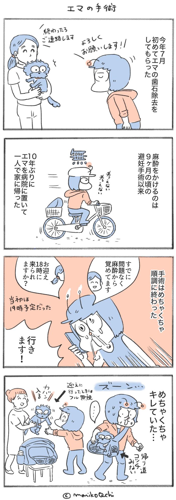 犬と暮らせば【第554話】