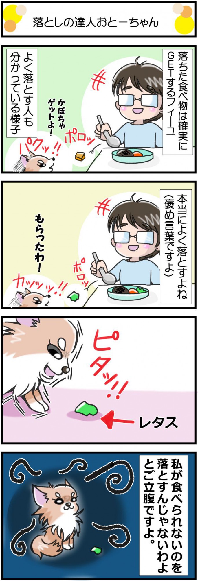 かわうそちわわ。【その369】