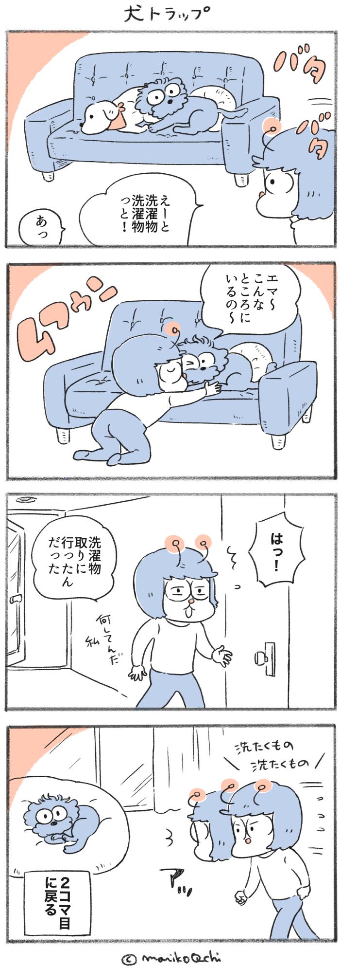 犬と暮らせば【第433話】