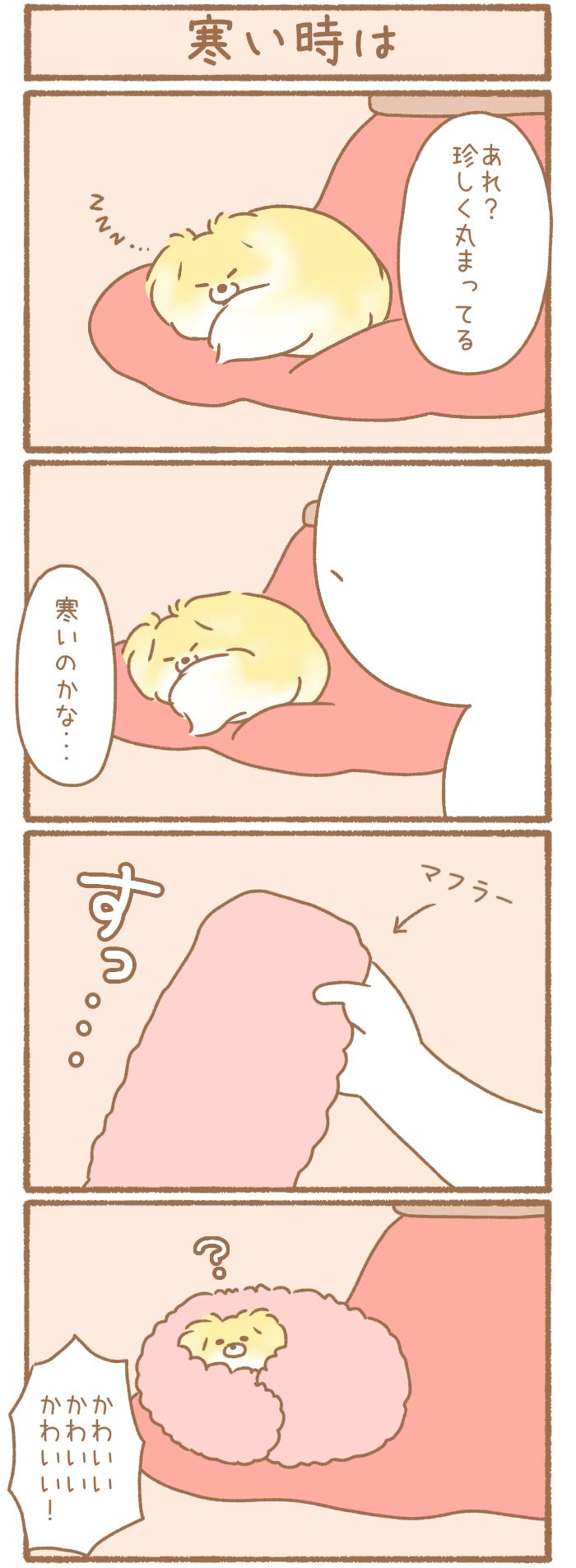 ただの犬好きです。【第300話】