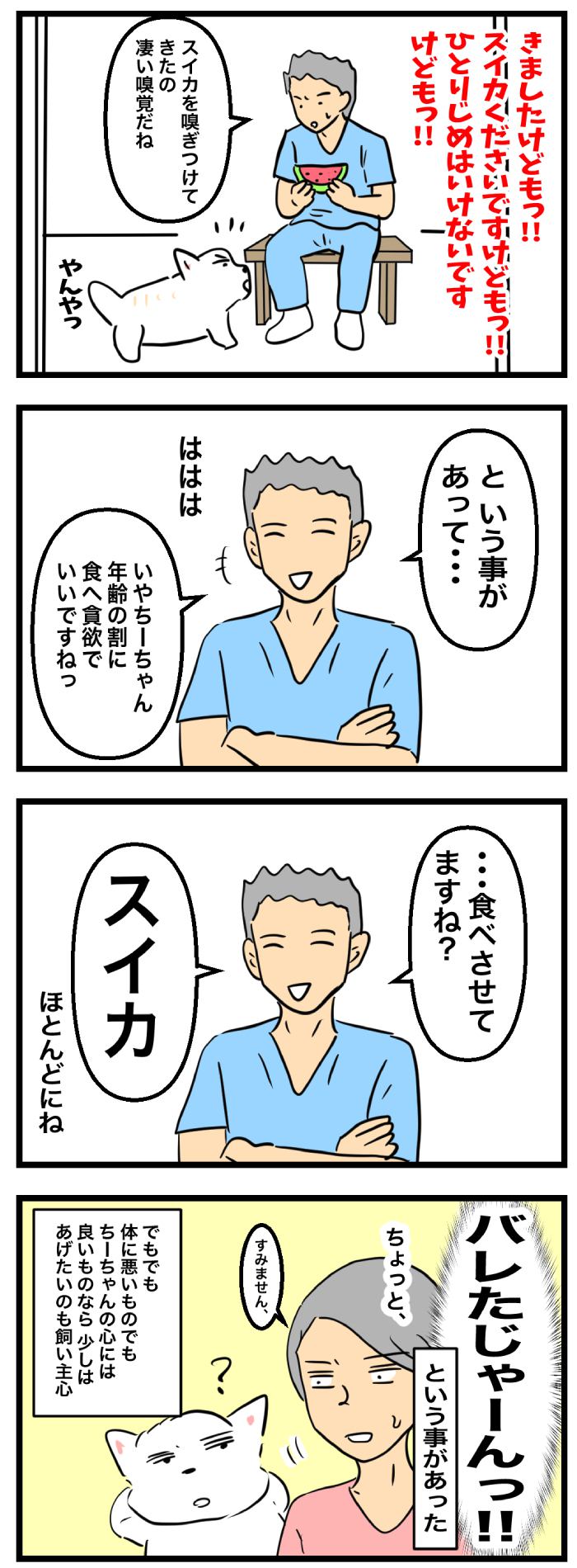ちーちゃんですけどもっ【第322話】２