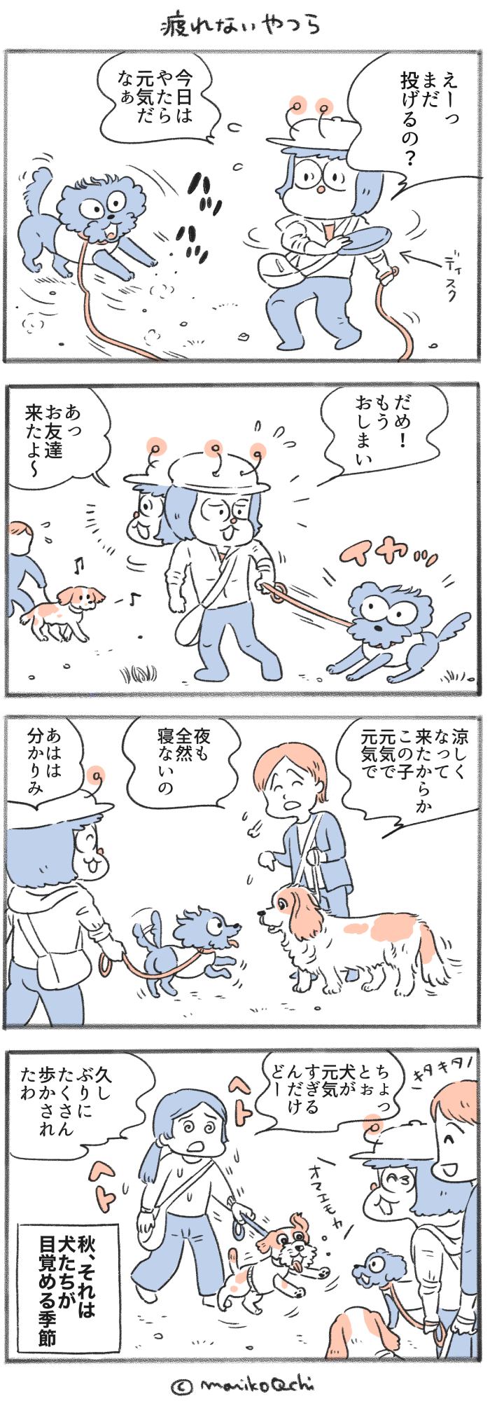 犬と暮らせば【第463話】