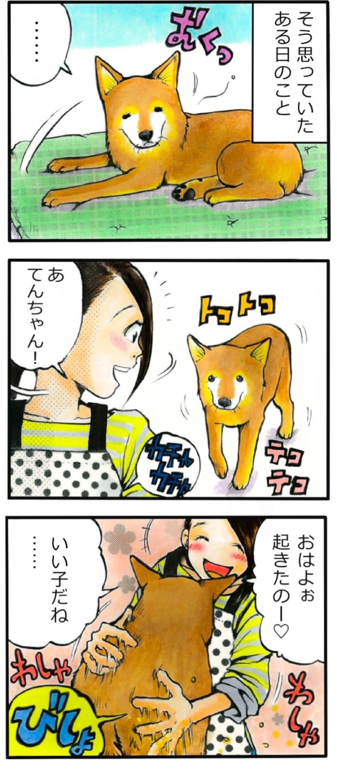 てんてこ、てん。第40話 2枚目