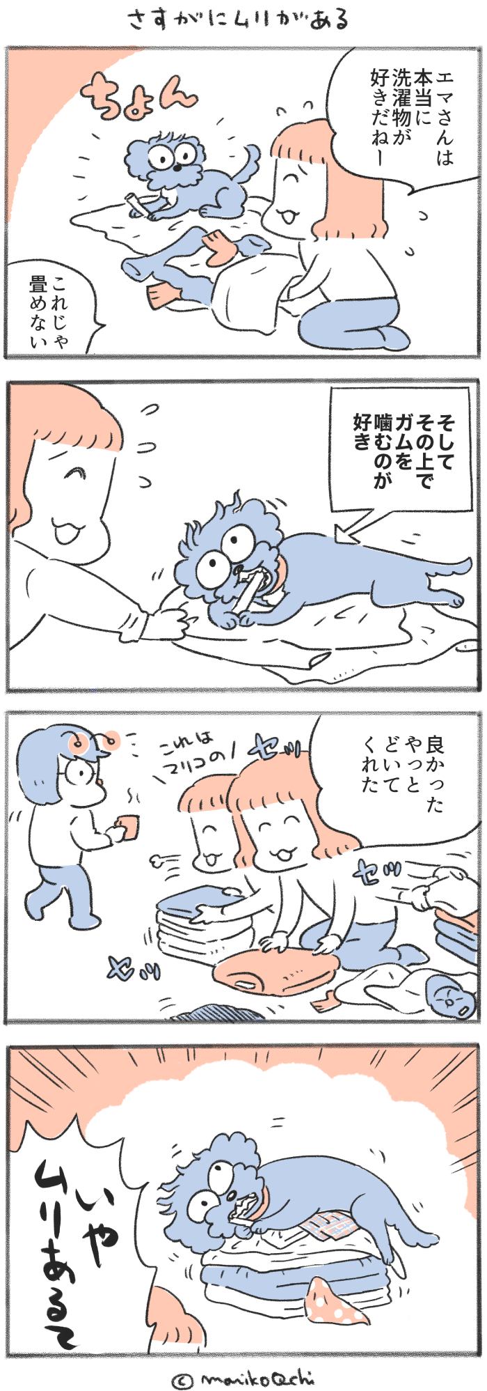 犬と暮らせば【第416話】