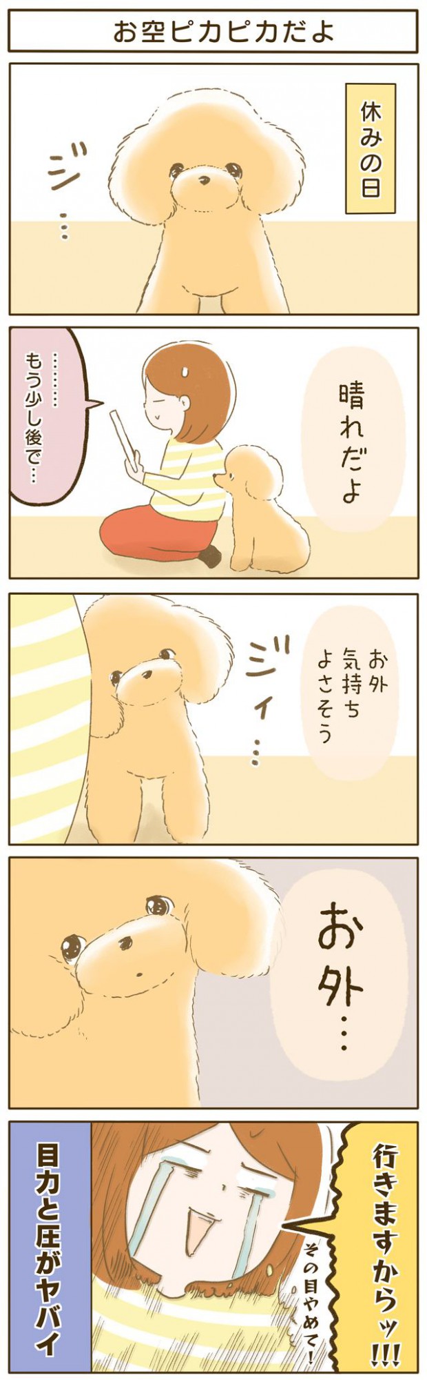 ふわふわぽこ。第41話