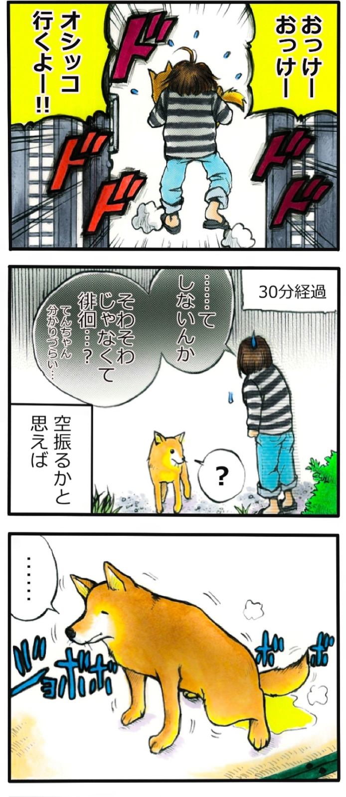 てんてこ、てん。第41話1枚目