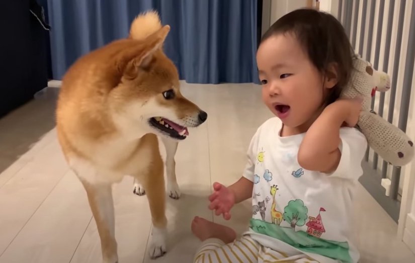 遊びに誘われる花子さん