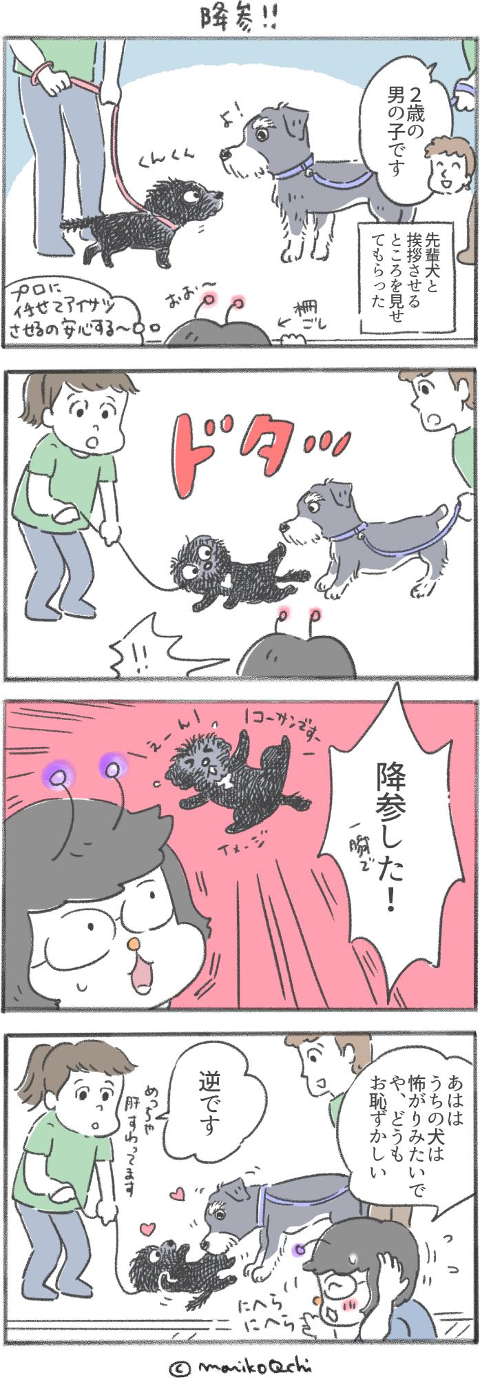 犬と暮らせば第132話