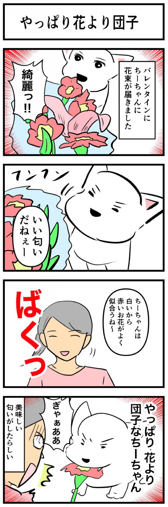 ちーちゃんですけどもっ【第244話】