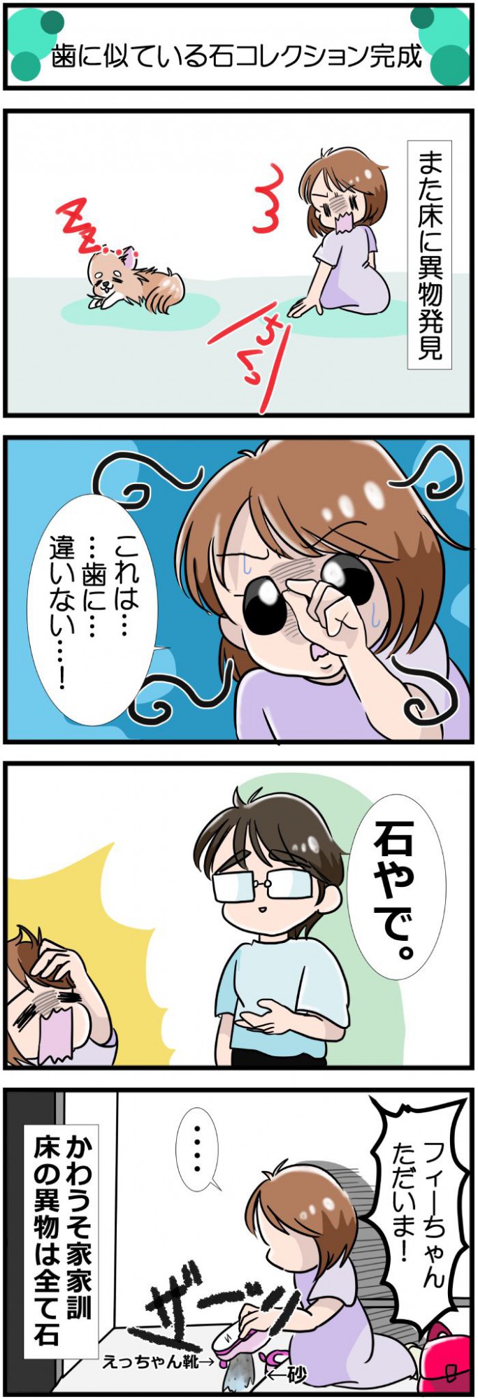 かわうそちわわ。【その479】