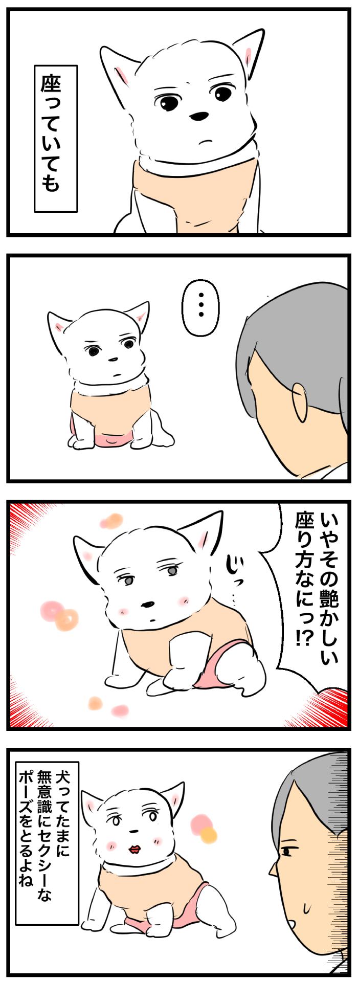 ちーちゃんですけどもっ【第295話】２