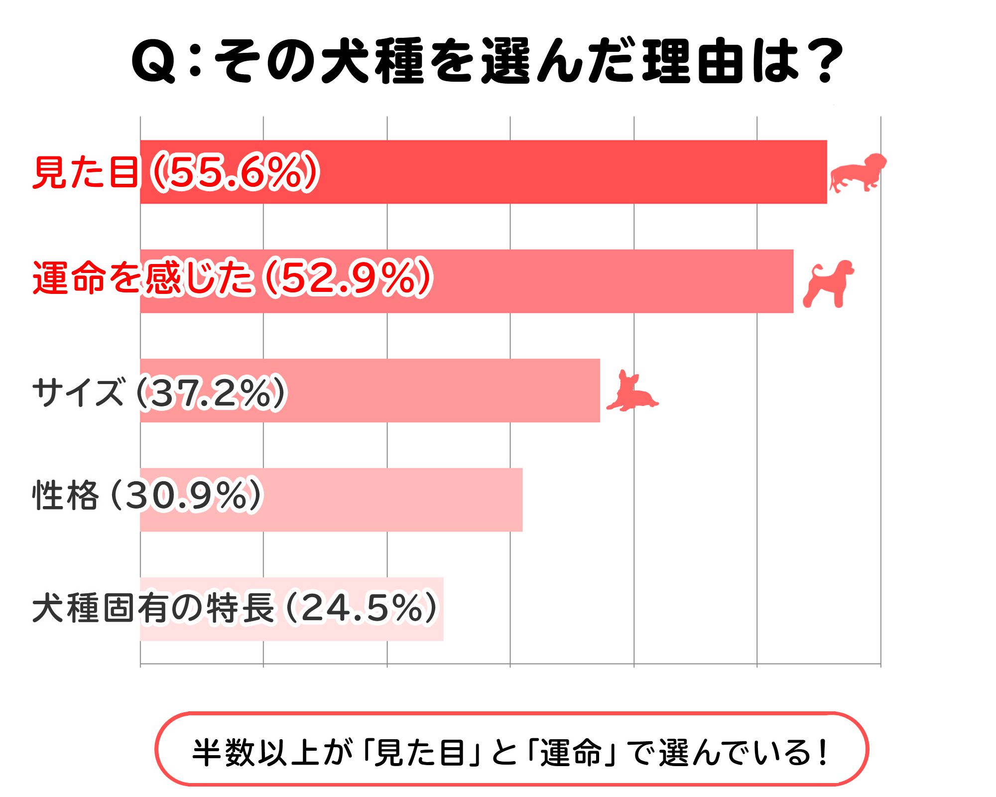 犬種を選んだ理由グラフ