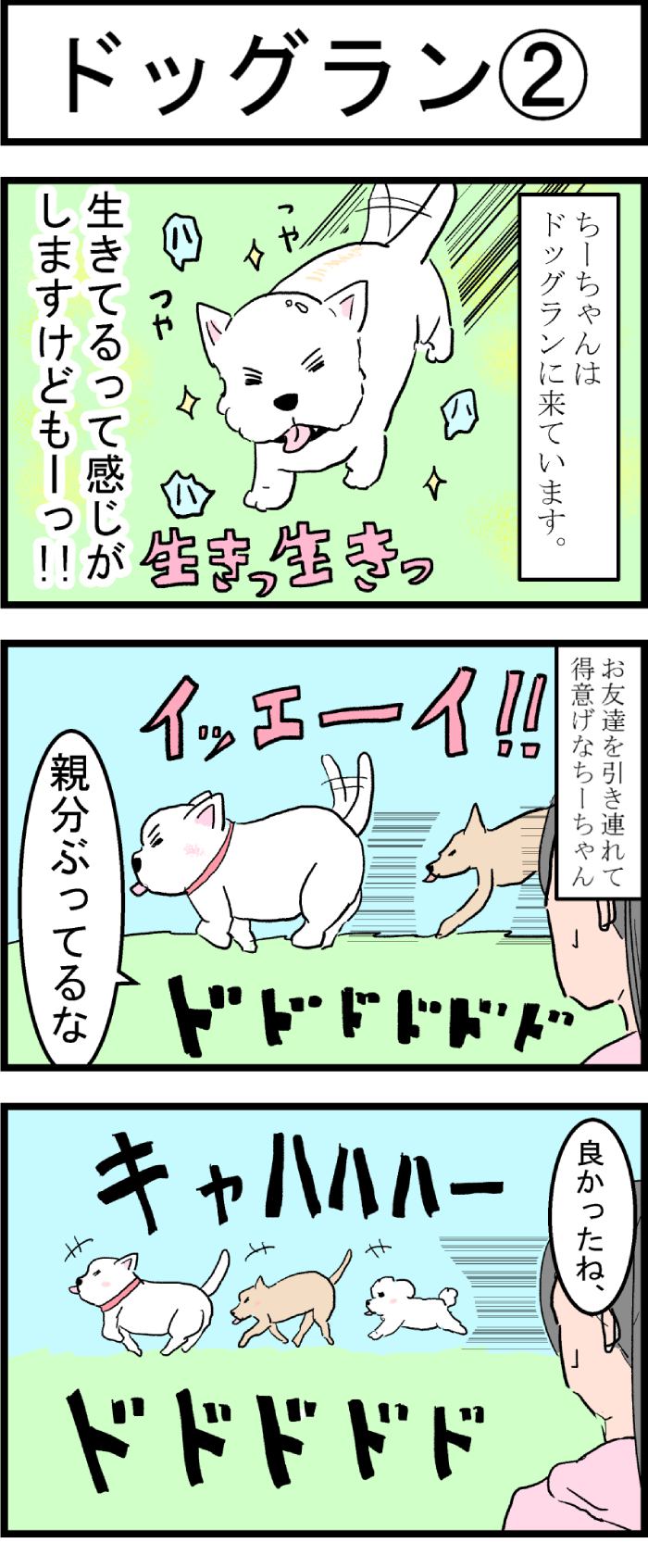 ちーちゃんですけどもっ第78話1枚目