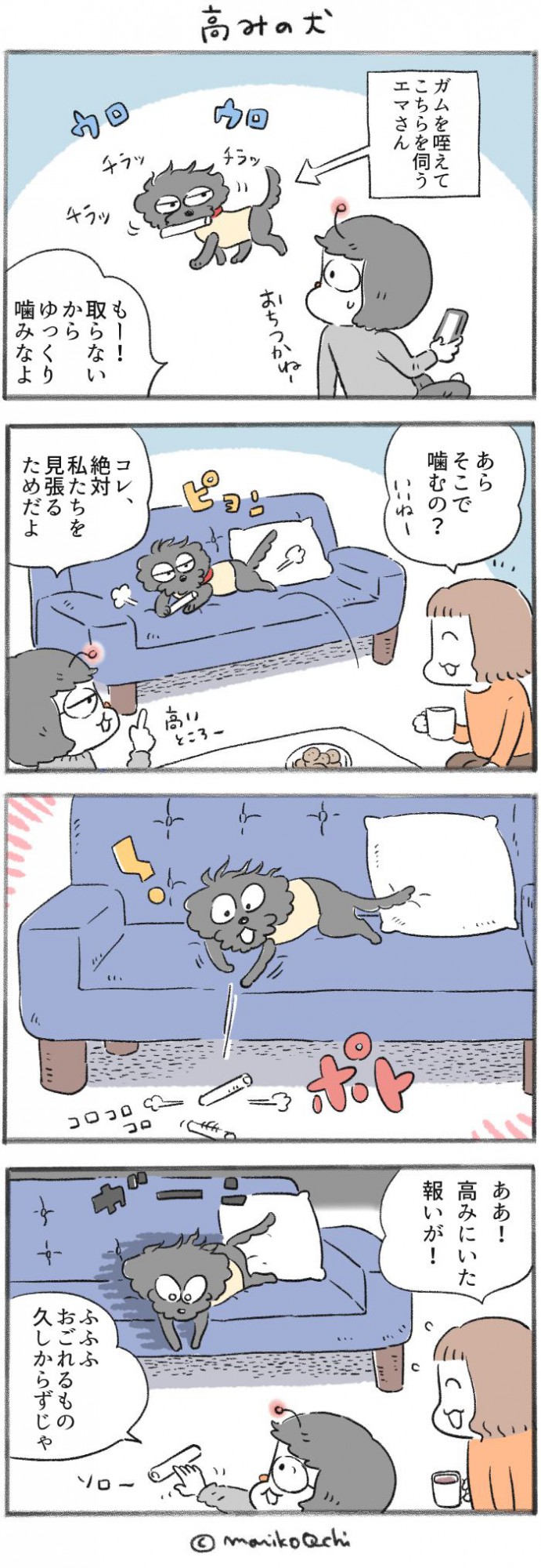 犬と暮らせば【第276話】