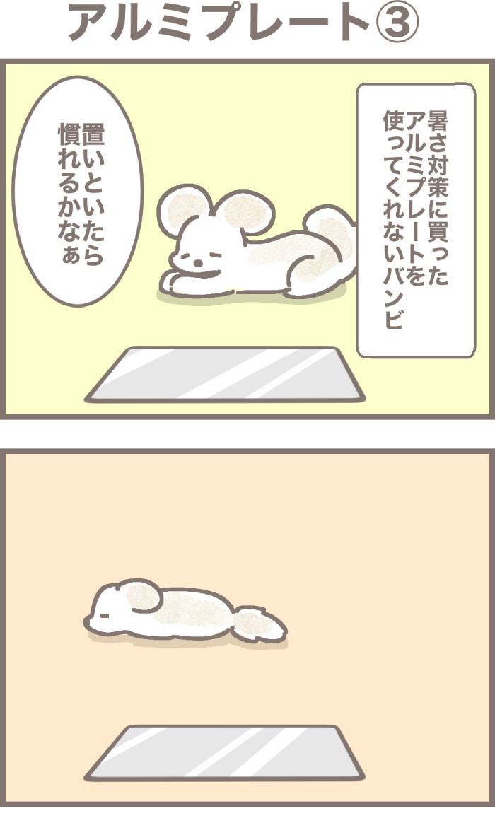 うちの王様にはどうしても抗えない第56話1枚目