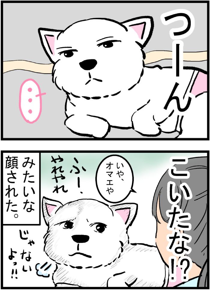 ちーちゃんですけどもっ第47話3枚目