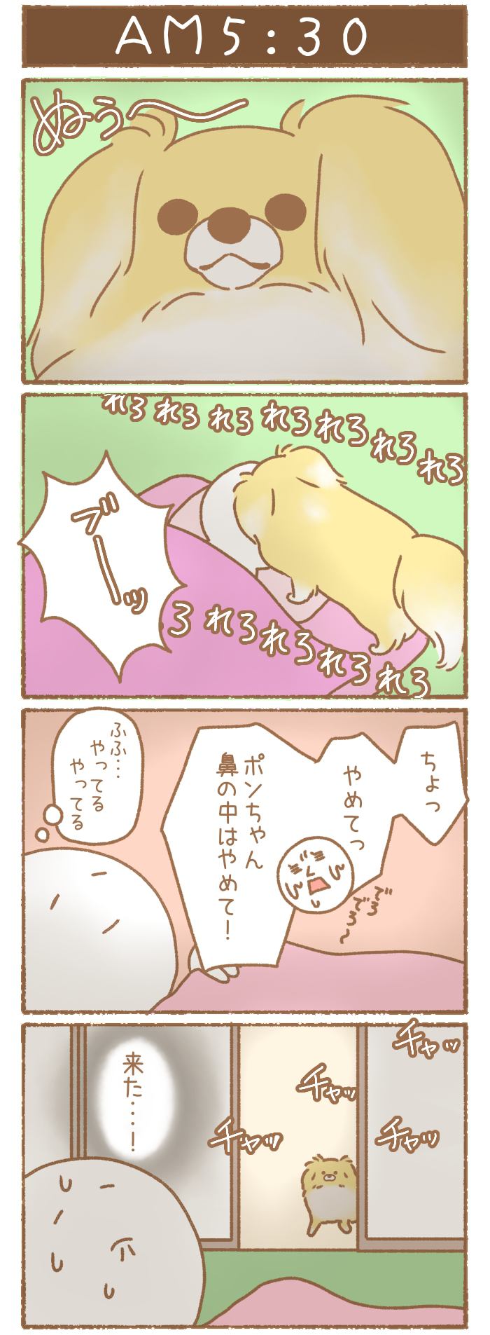 ただの犬好きです。【第121話】