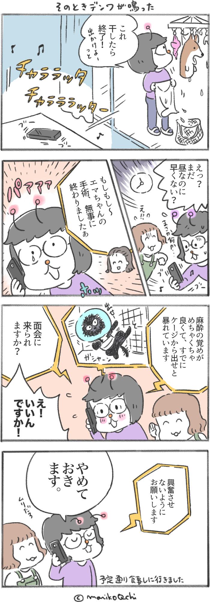 犬と暮らせば 第161話