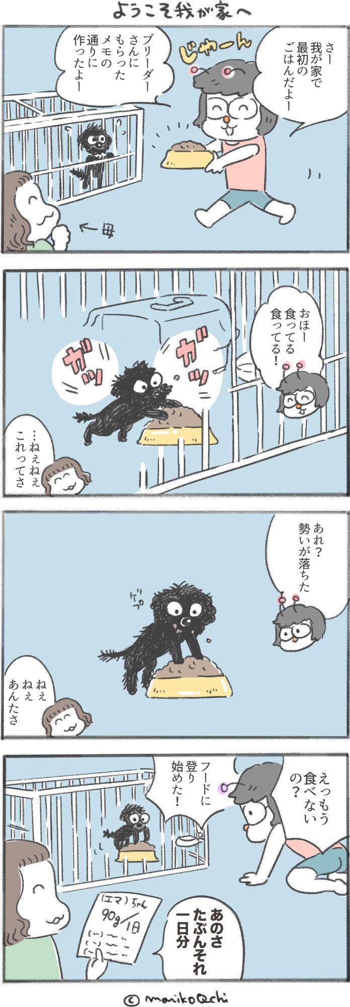 犬と暮らせば第94話