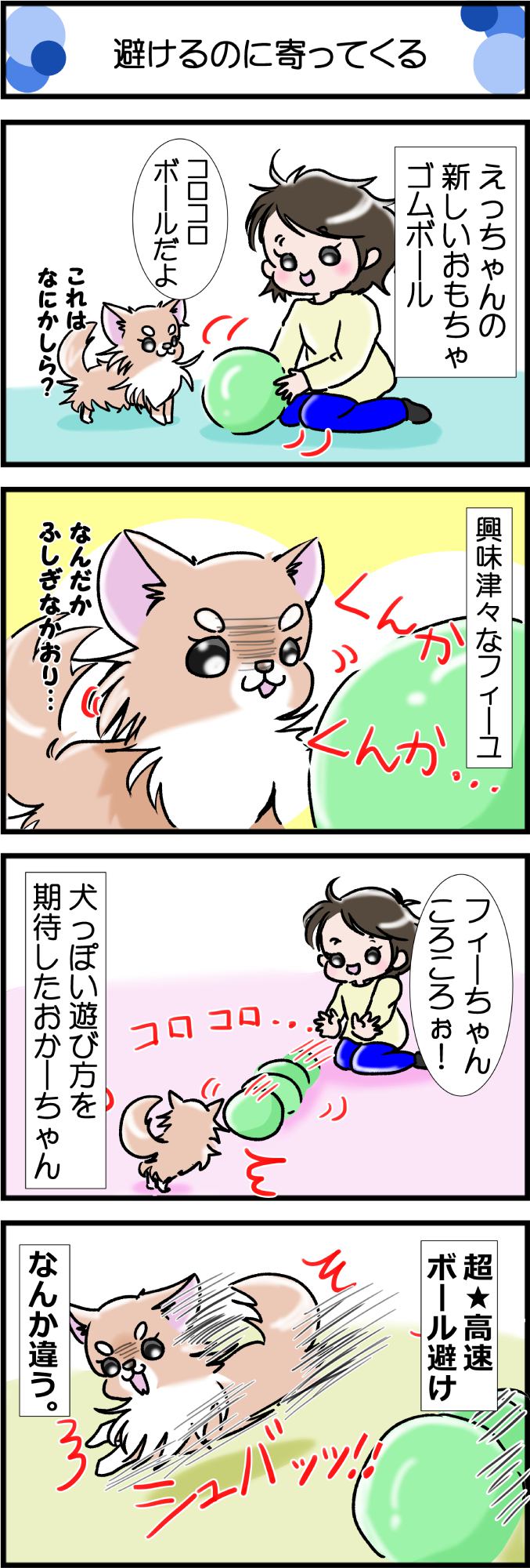 かわうそちわわ。その318