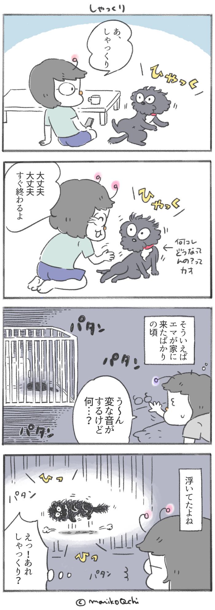 犬と暮らせば【第198話】