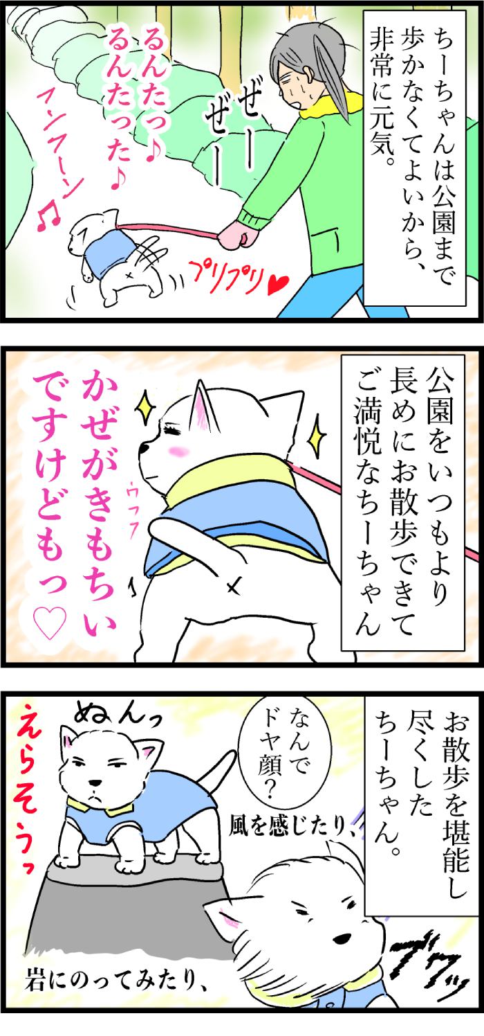 ちーちゃんですけどもっ第89話2枚目