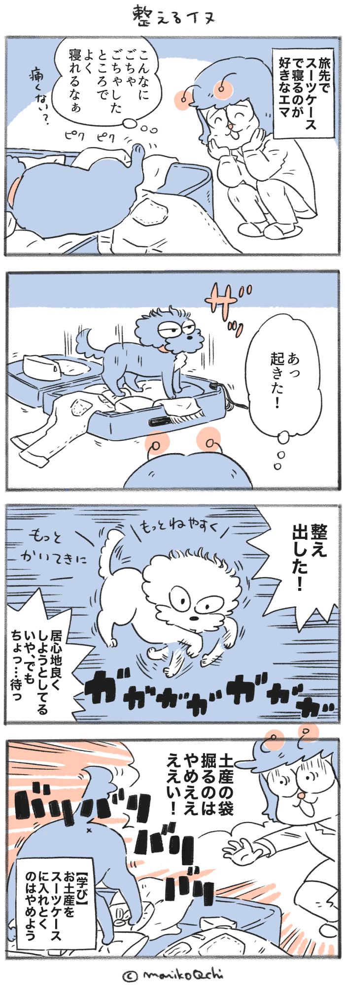 犬と暮らせば【第442話】