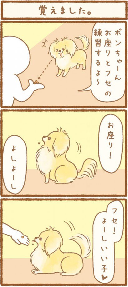 ただの犬好きです。第7話1