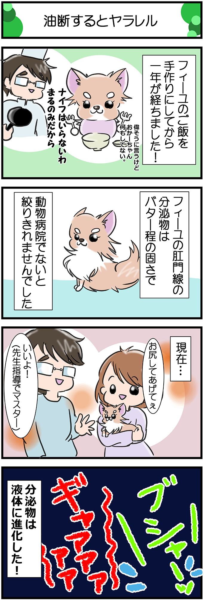 かわうそちわわ。その246