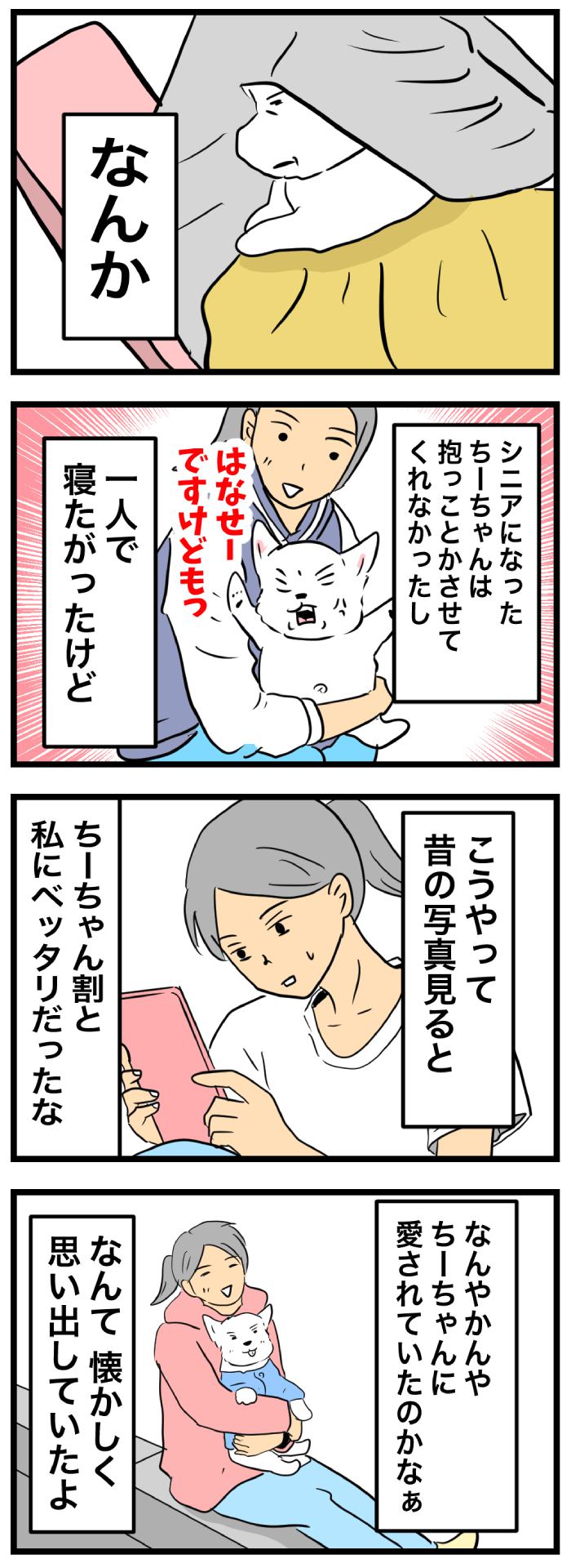ちーちゃんですけどもっ【第376話】 2