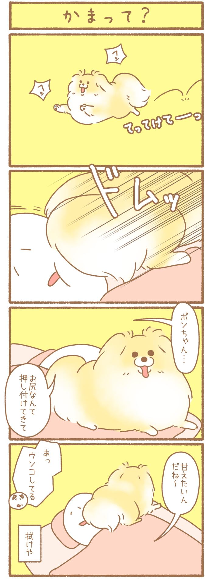 ただの犬好きです。【第281話】