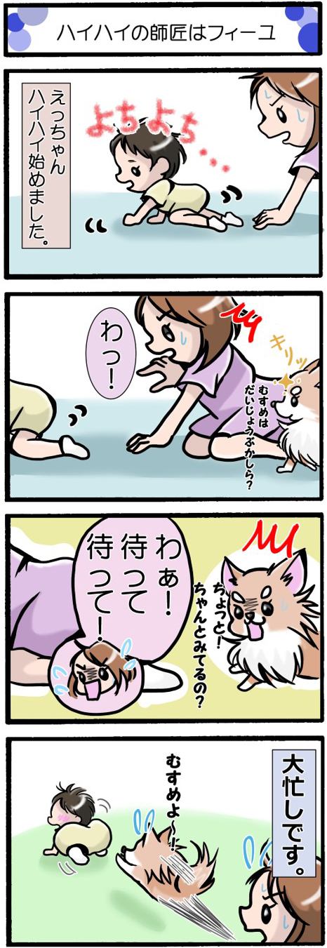 かわうそちわわ。183話