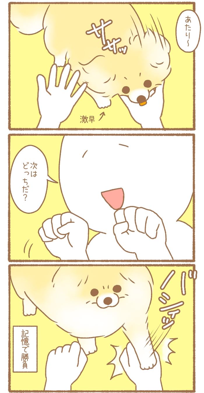 ただの犬好きです。【第282話 2】