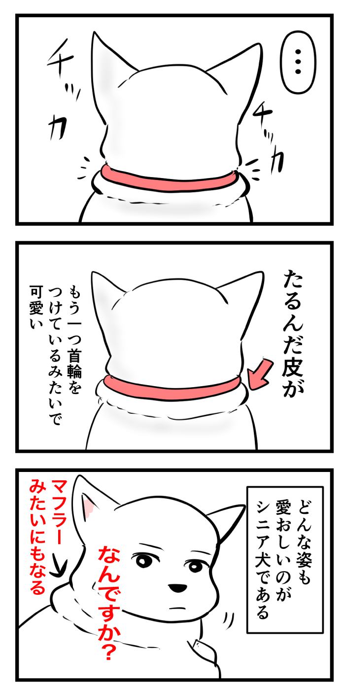 ちーちゃんですけどもっ【第252話】