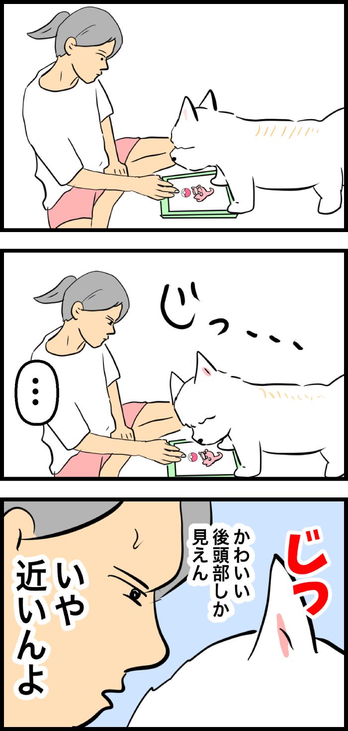 ちーちゃんですけどもっ【第315話】２