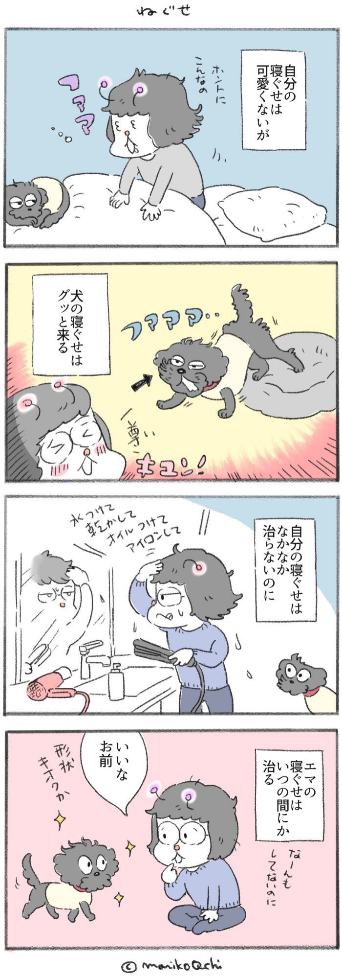 犬と暮らせば【第249話】