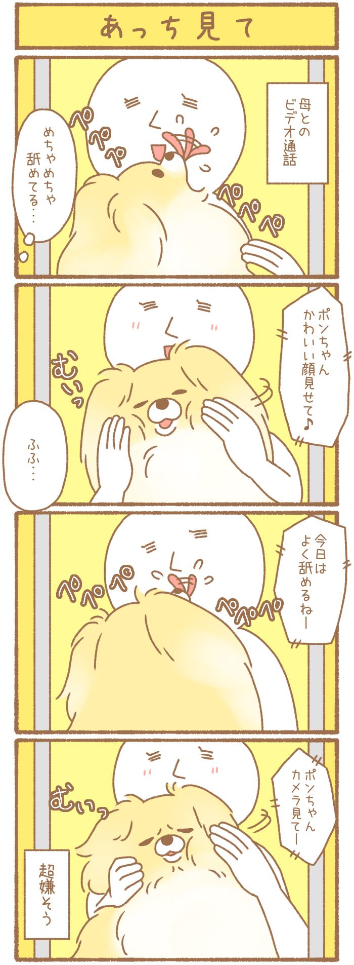 ただの犬好きです。【第186話】