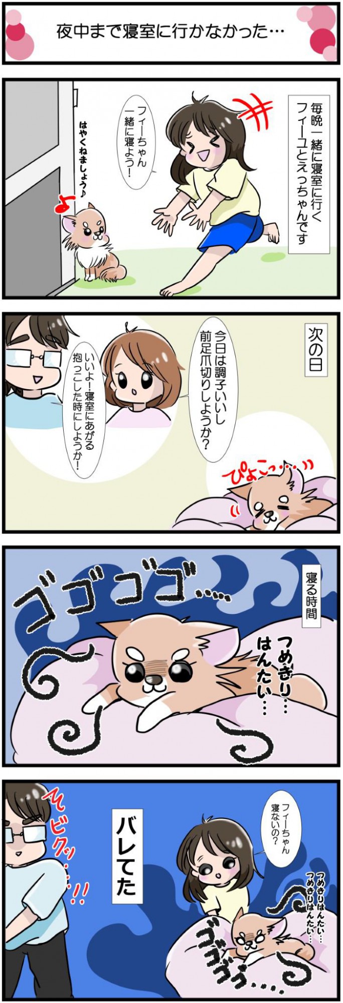 かわうそちわわ。【その570】