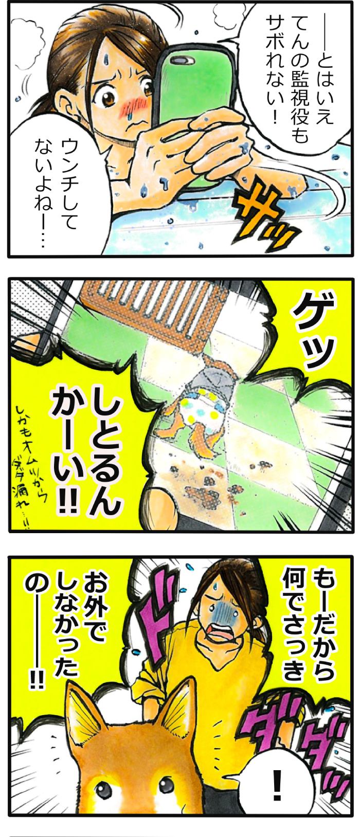 てんてこ、てん。第63話3枚目