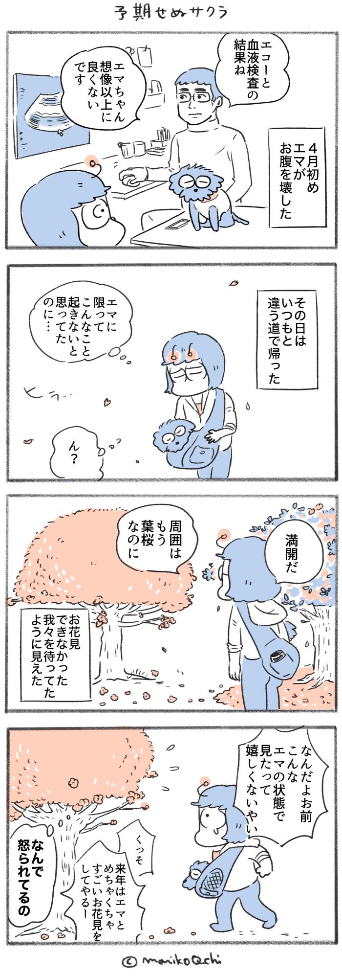 犬と暮らせば【第537話】