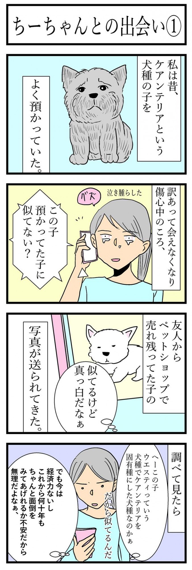 ちーちゃんですけどもっ【第100話】1