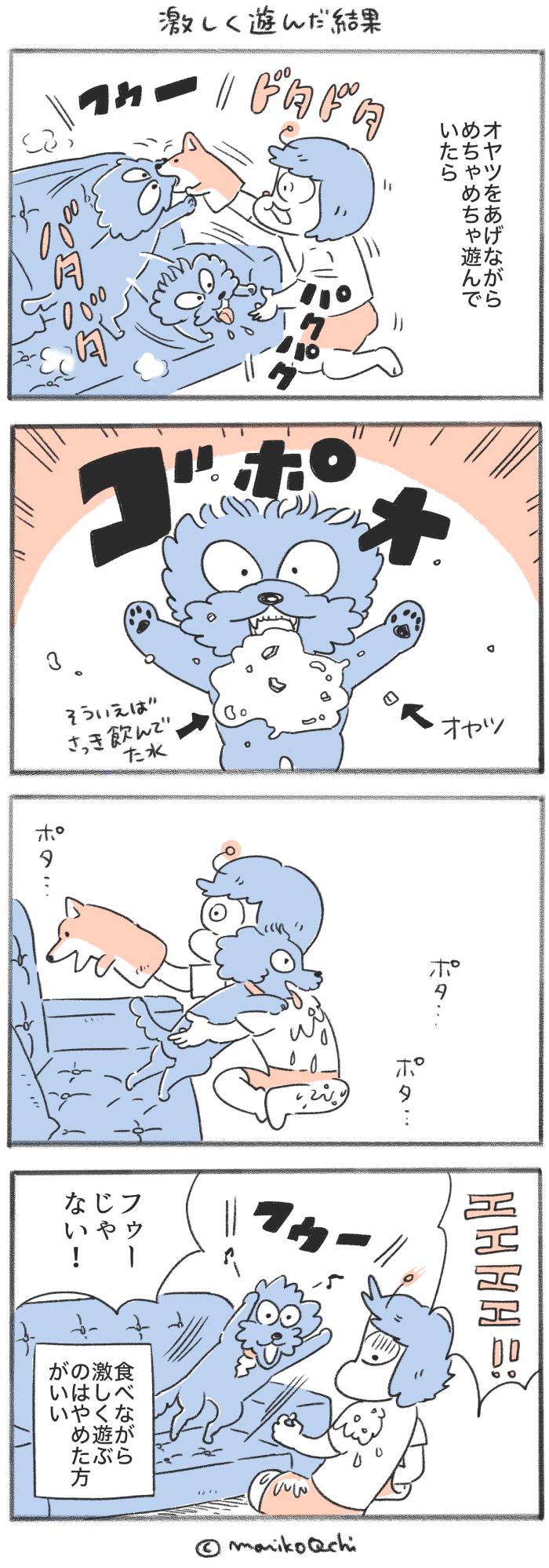 犬と暮らせば【第563話】