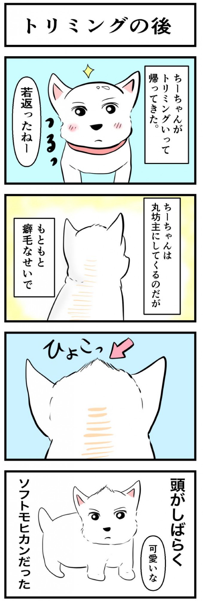 ちーちゃんですけどもっ【第265話】