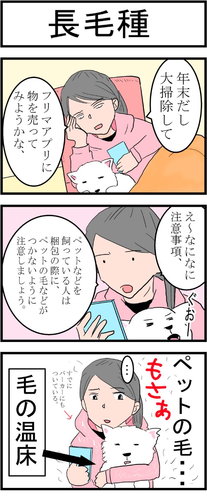 ちーちゃんですけどもっ第75話1枚目