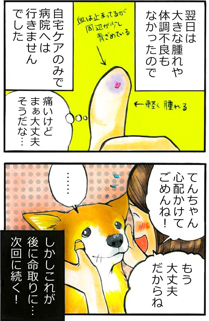 てんてこ、てん。第28話 3枚目