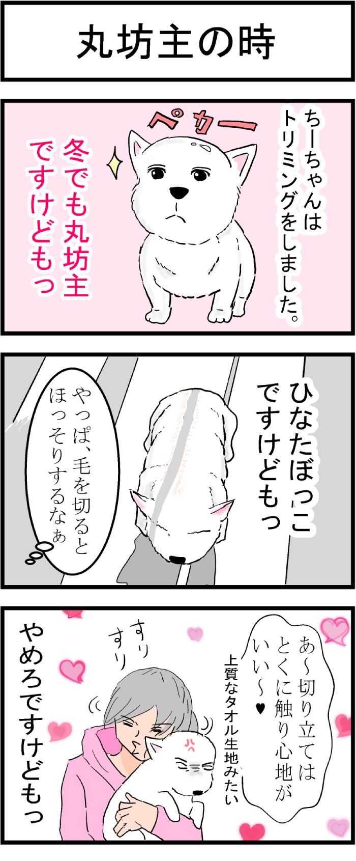 ちーちゃんですけどもっ第80話1枚目