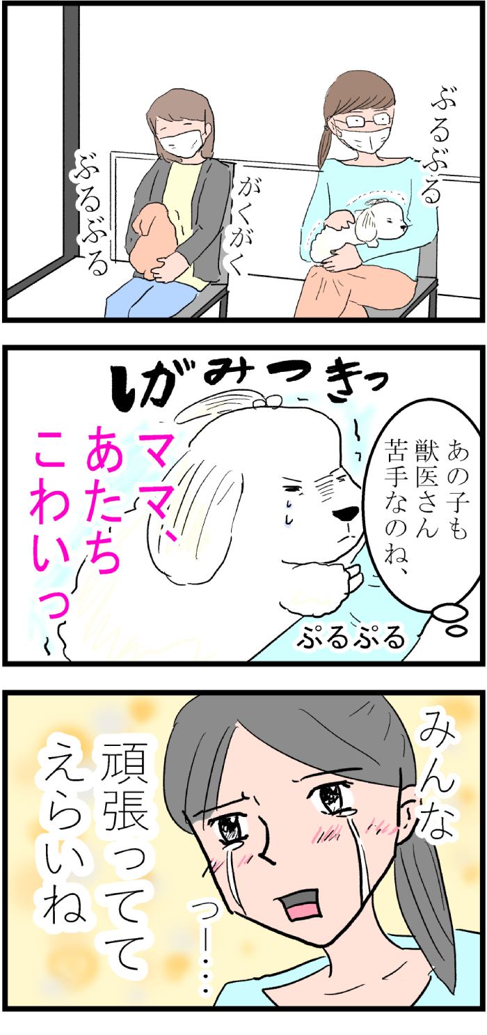 ちーちゃんですけどもっ第73話2枚目